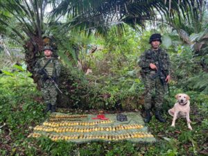 El Ejército Nacional halló depósito ilegal con 252 explosivos artesanales en Tumaco, Nariño.