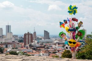 La Sultana del Valle escogió la imagen oficial del Festival de Macetas 2026.