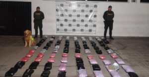 Toro, el canino de la UNIPOL que frustró el envío de más de 132 mil dosis de droga desde Cali.