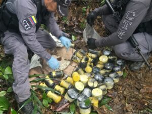 Ejército destruyó 45 dispositivos explosivos improvisados en zona rural de Buenaventura