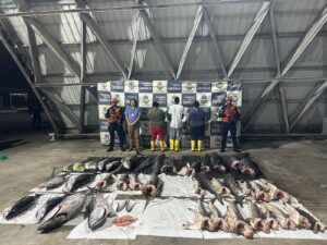 Interceptan embarcación con cerca de 800 kilos de pesca ilegal en aguas de Malpelo