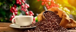 El Valle pide garantizar continuidad del Fondo Nacional del Café en beneficio de los caficultores.