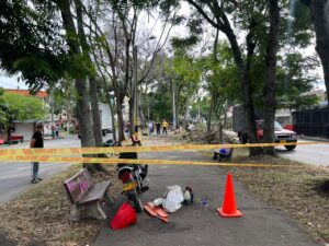 Inician erradicación preventiva de árboles en la Transversal 12 de Tuluá