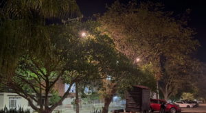 ¿QUÉ MEDIDAS PODRÍAN MEJORAR LA SEGURIDAD EN EL PARQUE DE LA FAMILIA DE TULUÁ?
