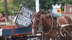Carretilleros de Tuluá piden un sitio oficial para la disposición de escombros