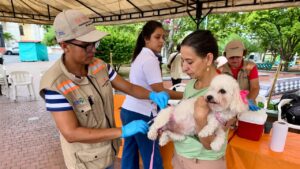 Jornada gratuita de vacunación antirrábica busca llegar a 5 mil perros y gatos en el Valle