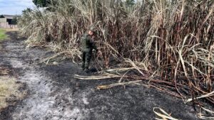 Un hombre fue capturado tras incendio en un cañaduzal del sector Reservas de La Italia en Palmira